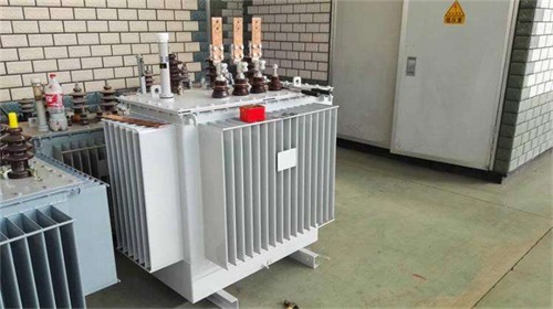 衡阳S11-100KVA/10KV/0.4KV油浸式变压器